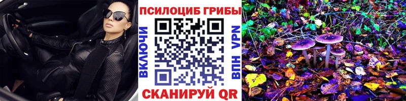 закладки  Сосновка  Галлюциногенные грибы мухоморы 